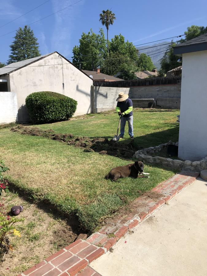 Before: Concrete patio & patio cover, Pasadena